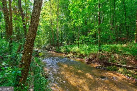 0 S Hills Mill Rd, Cornelia, GA 30531 photo 6
