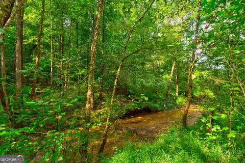 0 S Hills Mill Rd, Cornelia, GA 30531 photo 3