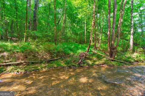 0 S Hills Mill Rd, Cornelia, GA 30531 photo 4