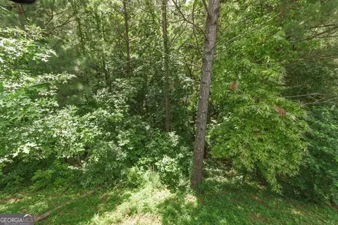 Other - 507 Riverview Ln, Canton, GA 30114 photo 9 of 11