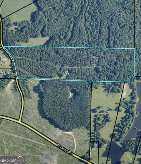 2135 Moss Rd, Gay, GA 30218