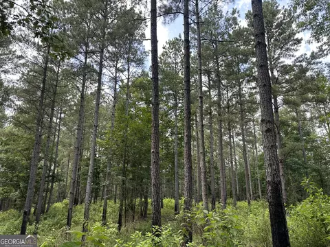 360 Happy Hollow Rd, Comer, GA 30629 photo 29