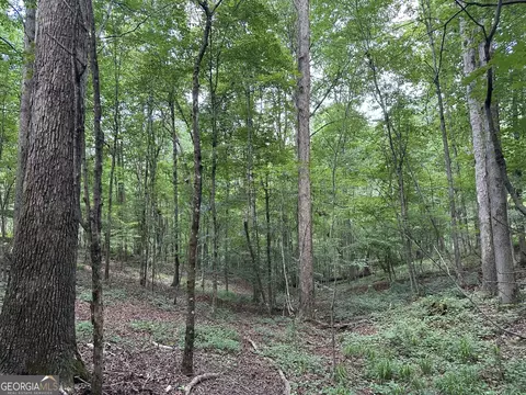 360 Happy Hollow Rd, Comer, GA 30629 photo 16