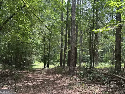 360 Happy Hollow Rd, Comer, GA 30629 photo 22