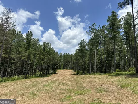 360 Happy Hollow Rd, Comer, GA 30629 photo 8