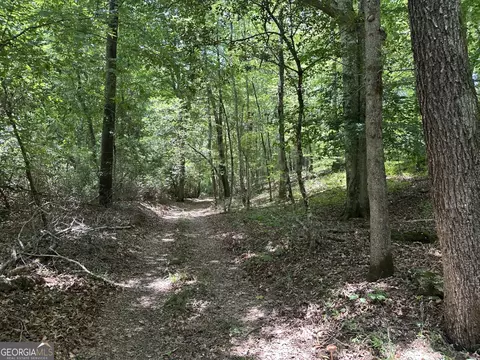 360 Happy Hollow Rd, Comer, GA 30629 photo 18