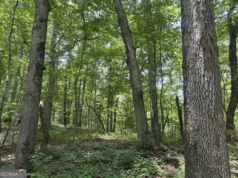360 Happy Hollow Rd, Comer, GA 30629 photo 6