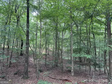 360 Happy Hollow Rd, Comer, GA 30629 photo 17