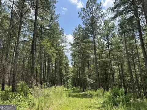 360 Happy Hollow Rd, Comer, GA 30629 photo 23