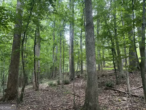 360 Happy Hollow Rd, Comer, GA 30629 photo 28