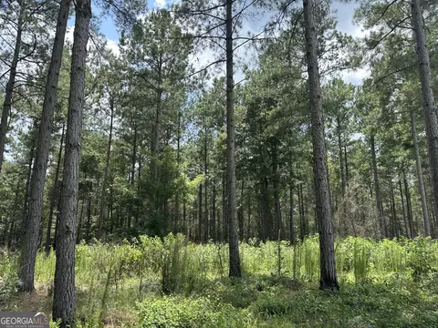 360 Happy Hollow Rd, Comer, GA 30629 photo 30
