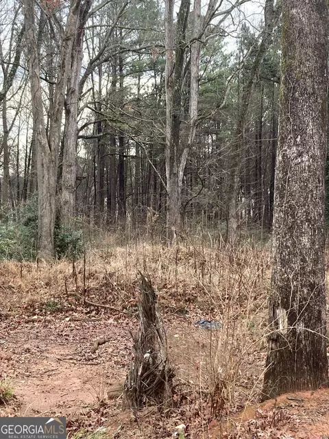 6661 Highway 42, Rex, GA 30273 photo 4