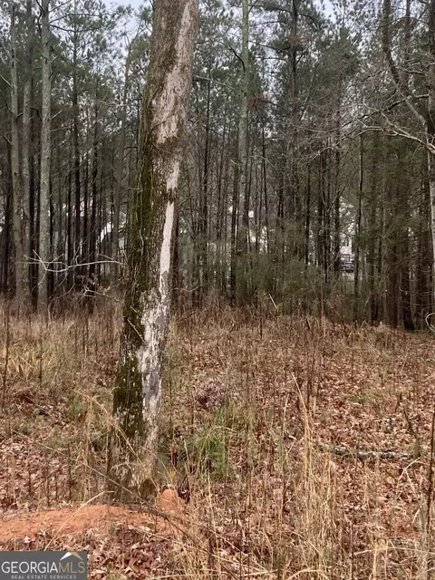 6661 Highway 42, Rex, GA 30273 photo 5