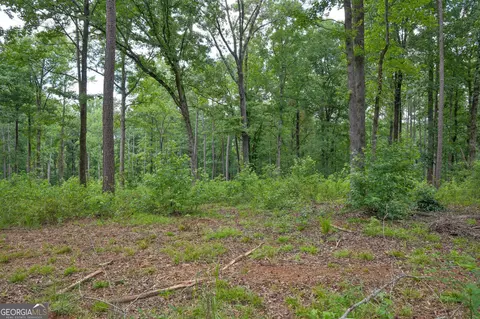91 Askin Pl, Culloden, GA 31016