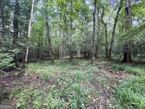 tbd Wooten Rd, Cuthbert, GA 39840 photo 29