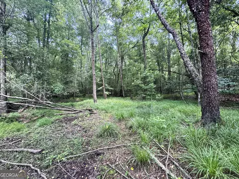 tbd Wooten Rd, Cuthbert, GA 39840 photo 31