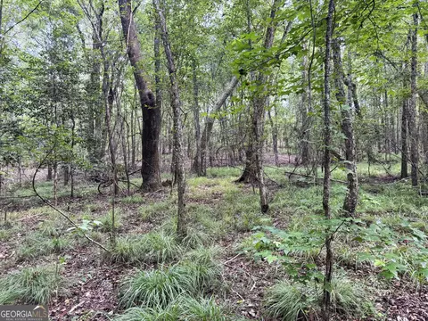 tbd Wooten Rd, Cuthbert, GA 39840 photo 57