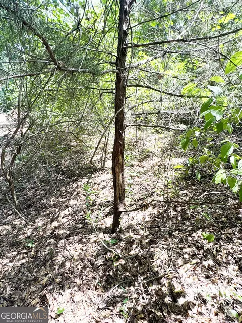 tbd Wooten Rd, Cuthbert, GA 39840 photo 25