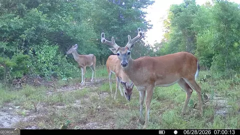 tbd Wooten Rd, Cuthbert, GA 39840 photo 10