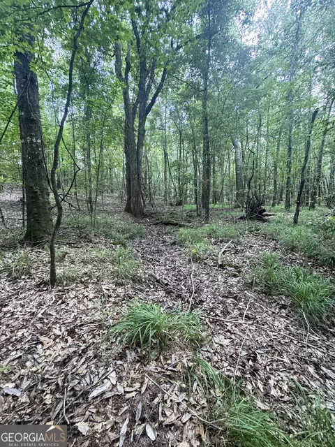 tbd Wooten Rd, Cuthbert, GA 39840 photo 27