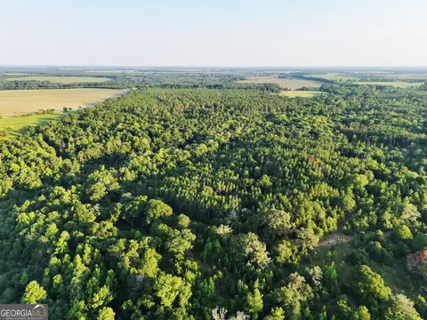 tbd Wooten Rd, Cuthbert, GA 39840 photo 64
