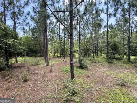 tbd Wooten Rd, Cuthbert, GA 39840 photo 55