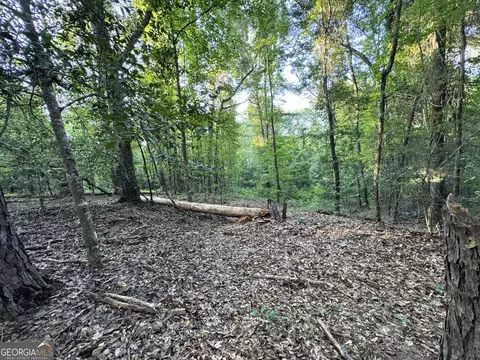 tbd Wooten Rd, Cuthbert, GA 39840 photo 50