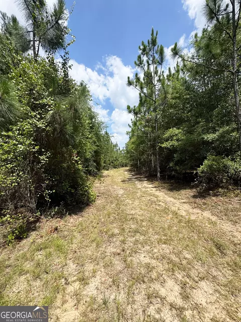 tbd Wooten Rd, Cuthbert, GA 39840 photo 36