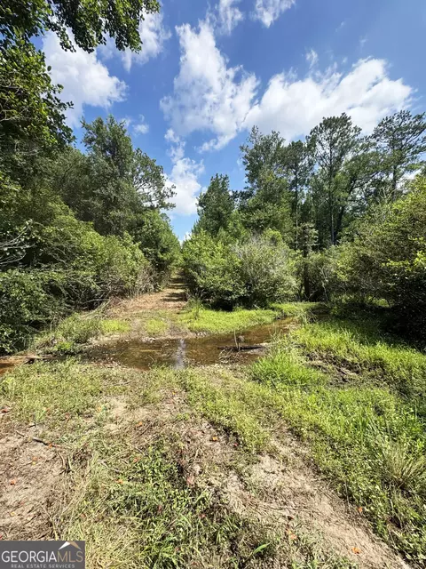 tbd Wooten Rd, Cuthbert, GA 39840 photo 19