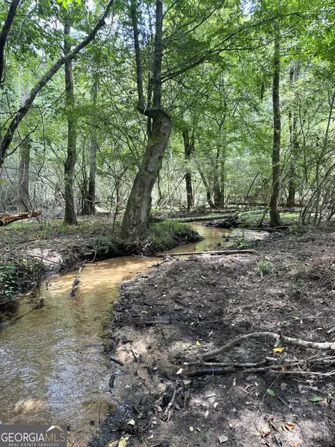 tbd Wooten Rd, Cuthbert, GA 39840 photo 43