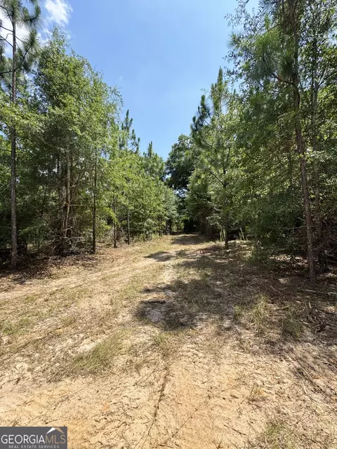 tbd Wooten Rd, Cuthbert, GA 39840 photo 56