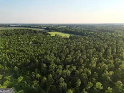 tbd Wooten Rd, Cuthbert, GA 39840 photo 68