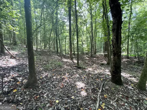 tbd Wooten Rd, Cuthbert, GA 39840 photo 34