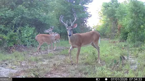 tbd Wooten Rd, Cuthbert, GA 39840 photo 8