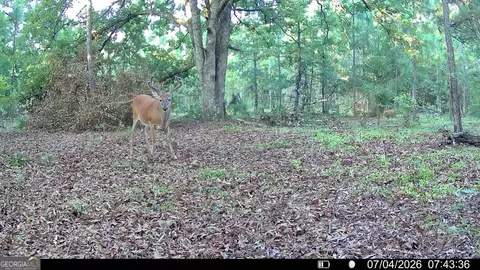 tbd Wooten Rd, Cuthbert, GA 39840 photo 70
