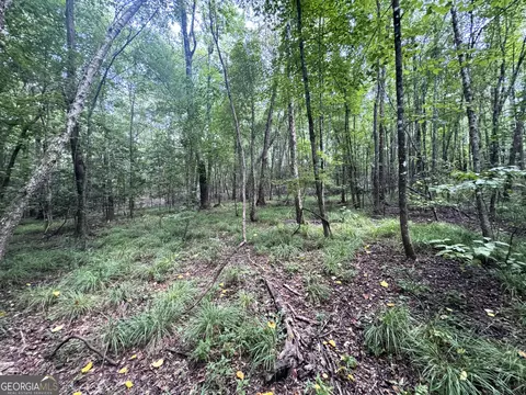 tbd Wooten Rd, Cuthbert, GA 39840 photo 28