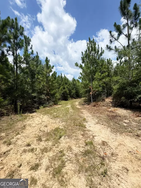 tbd Wooten Rd, Cuthbert, GA 39840 photo 37