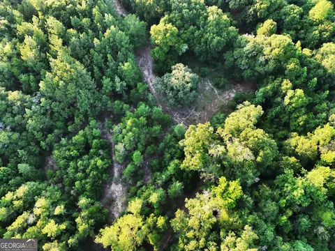tbd Wooten Rd, Cuthbert, GA 39840 photo 65