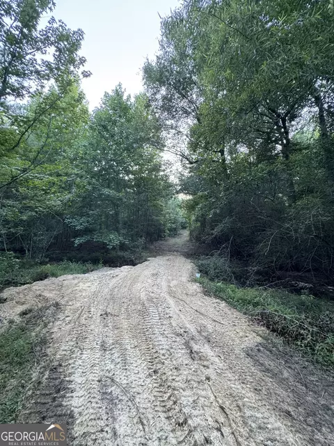tbd Wooten Rd, Cuthbert, GA 39840 photo 47