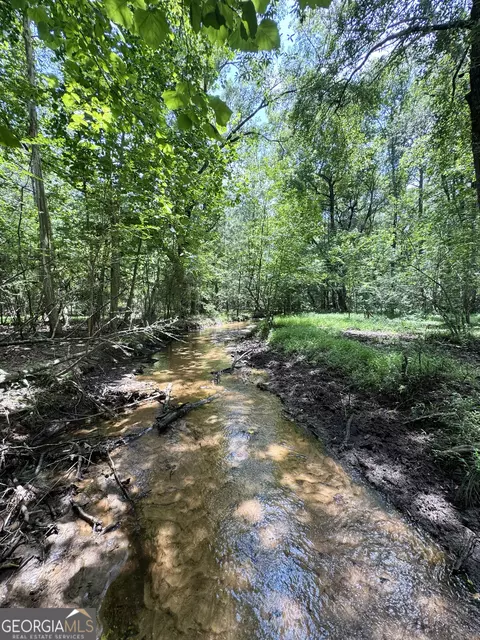 tbd Wooten Rd, Cuthbert, GA 39840 photo 45