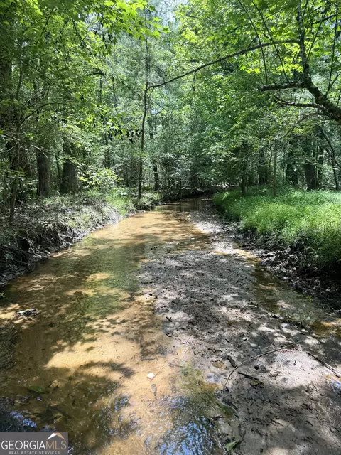 tbd Wooten Rd, Cuthbert, GA 39840 photo 2