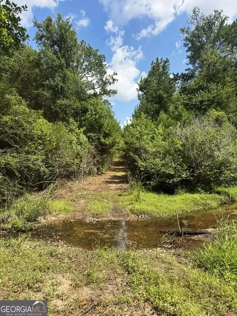 tbd Wooten Rd, Cuthbert, GA 39840 photo 15