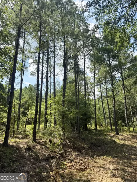 tbd Wooten Rd, Cuthbert, GA 39840 photo 53