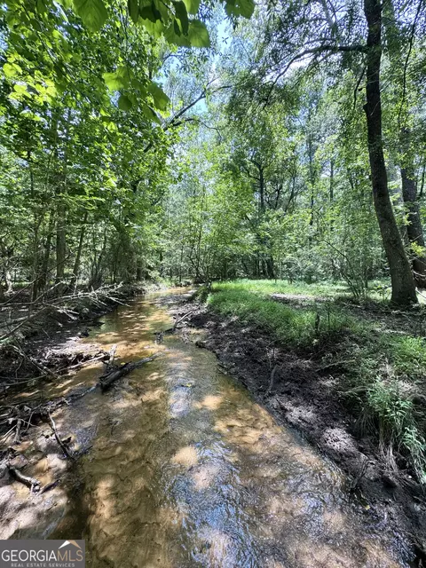 tbd Wooten Rd, Cuthbert, GA 39840 photo 44