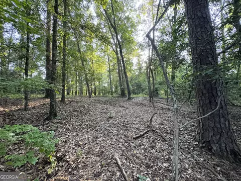 tbd Wooten Rd, Cuthbert, GA 39840 photo 51