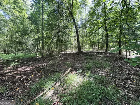 tbd Wooten Rd, Cuthbert, GA 39840 photo 32