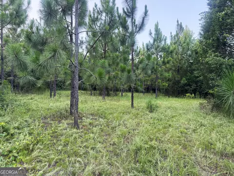 tbd Wooten Rd, Cuthbert, GA 39840 photo 46