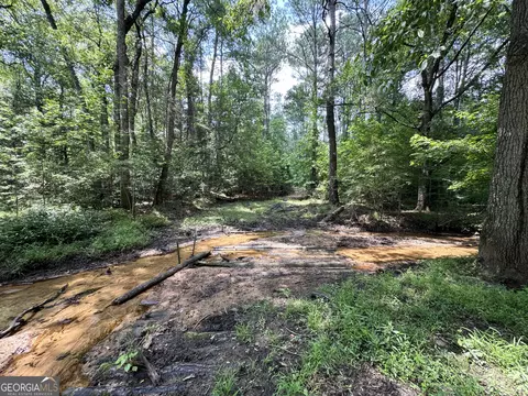 tbd Wooten Rd, Cuthbert, GA 39840 photo 40