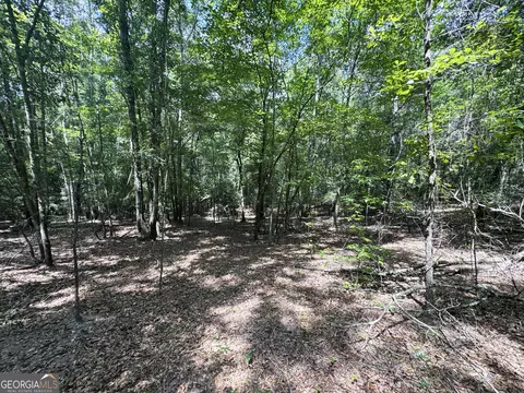 tbd Wooten Rd, Cuthbert, GA 39840 photo 54