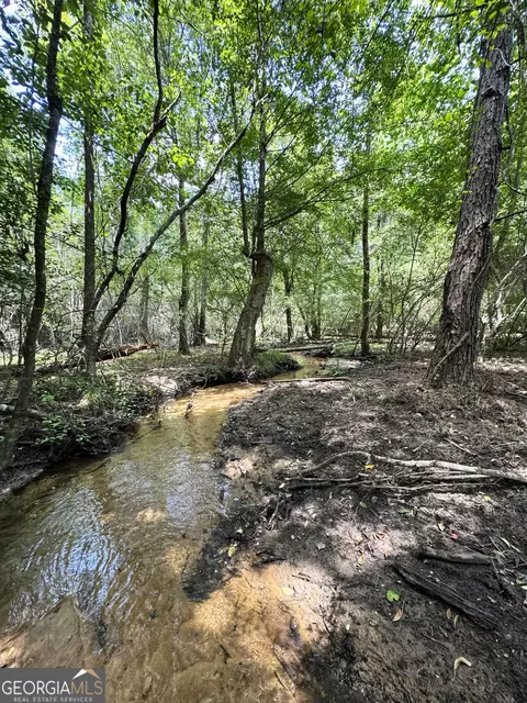 tbd Wooten Rd, Cuthbert, GA 39840 photo 42